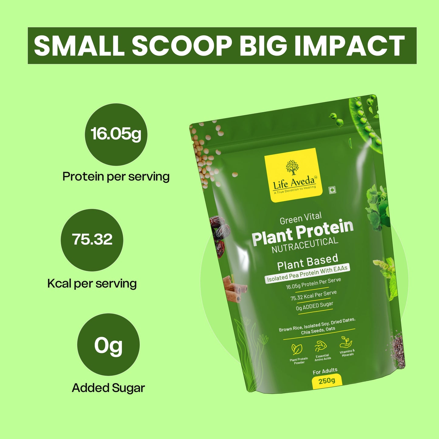 Green Vital Plant Protein: The best plant protein powder for your health