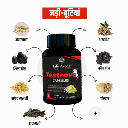 Testrova – पुरुषों के लिए आयुर्वेदिक परफ़ॉर्मेंस सपोर्ट